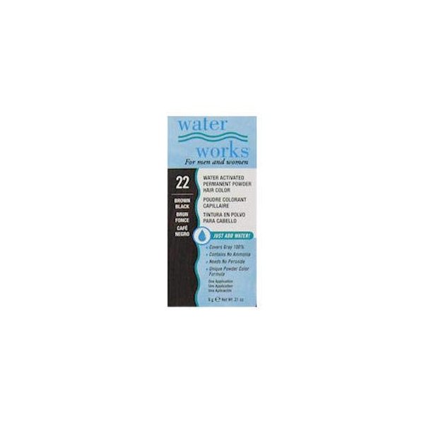 Water Works Waterworks Powder Hair Color #22 Brown Black, 21 Oz (Pack of 3)