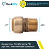 SharkBite 3/4 Inch MNPT Adapter, Push To Connect Brass Plumbing Fitting, PEX Pipe, Copper, CPVC, PE-RT, HDPE, U134LFA