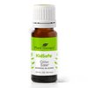 Plant Therapy KidSafe Grow Ease Essential Oil Blend 10 mL (1/3 oz) 100% Pure, Undiluted, Therapeutic Grade