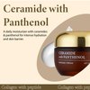 Innerest SKIN627 Daily Face Moisturizer, Face Cream, Facial Cream 1.76 oz Korean Skin Care Korean Moisturizer - Ceramide with Panthenol