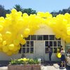 PartyWoo Yellow Balloons, 50 pcs 5 Inch Matte Yellow Balloons, Yellow Latex Balloons for Balloon Garland Balloon Arch as Party Decorations, Birthday Decorations, Baby Shower Decorations, Yellow-Y55