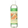 BretanBretna Witch Hazel Toner Geranium Rosehip, 8.75 fl oz