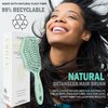 Fiora Naturals Hair Detangling Brush -100% Bio-Friendly Detangler Hair Brush w/Ultra-soft Bristles- Glide Through Tangles with Ease - For Curly, Straight, Women, Men, Kids, Toddlers, Wet and Dry Hair