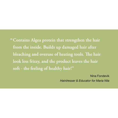 Maria Nila Structure Repair Conditioner, 3.4 Fl Oz / 100 ml, For Damaged & Chemically Treated Hair, Algae Extract Rebuilds & Moisturizes, 100% Vegan & Sulfate/Paraben free