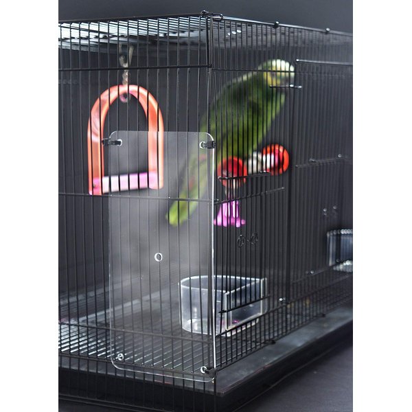 Feathered Phonics The Seed Guard, Small