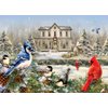 Cobble Hill 1000 Piece Puzzle - Country House Birds - Sample Poster Included