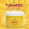 Organic Extract Turmeric Face Scrub - 12 fl oz / 340g - BIG SIZE Skin Brightening Scrub For Face - Exfoliating & Deep Cleanser, Evens Out Skin Tone - Moisturizing Facial Scrub with Papaya extract
