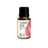 Rocky Mountain Oils Tummy Rub Essential Oil Blend with 100% Pure and Natural Essential Oils for Diffuser and Topical - Digestive Oil, Pain Aid Essential Oil - 15ml