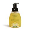 Herb’N Eden Lemon Foaming Hand Soap, Moisturizing for Dry Skin, Gentle Hand Wash, 100% Pure Ingredients, Essential Oils, 8 oz