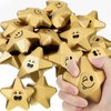 24 Pieces 3.1 Inch Star Stress Balls Gold Star Mini Foam Ball Star Stress Toys Bulk Stress Relief Gifts for Coworkers Adult Goodie Bag Stuffers Teen Party Favors School Office Award (Smile Face)