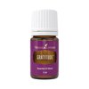 Young Living Gratitude Premium Essential Oil Blend - Aromatherapy for Thankfulness and Positivity - Uplifting Grand Fir and Frankincense Aroma - 5 ml Bottle