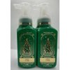 Generic Set of 2 Tree Farm Gentle & Clean Foaming Hand Soap 8.75 Ounce, Green