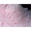 6 Inch Strip - Baby Pink Ostrich Fringe Trim Feather Craft Sample DIY Millinery Supply | Moonlight Feather