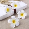 Women's Hawaiian Plumeria Flower Hair Clip Wedding Bridal Hairpin Barrette Hair Accessories - 10 Pieces