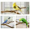 kathson Natural Parrot Perch Bird Stand Pole Wild Grape Stick Paw Grinding Fork Parakeet Climbing Standing Branches Toy Chewable Cage Accessories for Small Budgies Cockatiels Lovebirds 2PCS