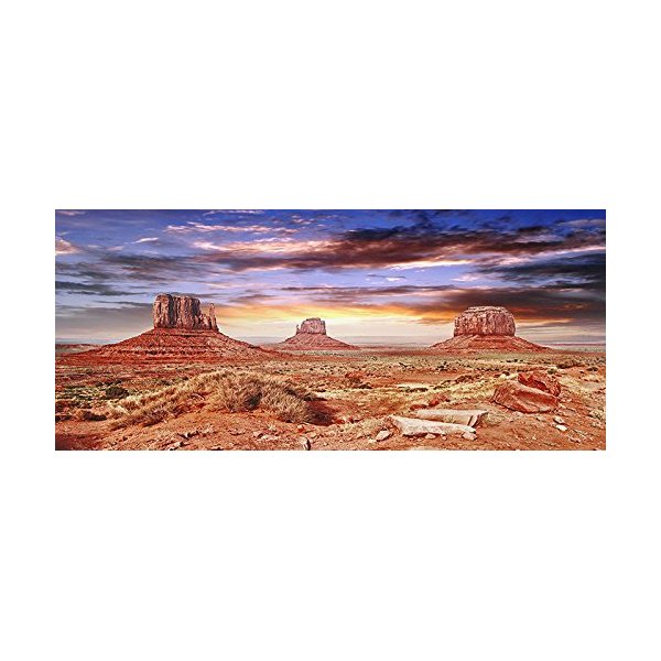 BannersNStands Reptile Habitat, Terrarium Background, Cool Desert Sky - (Various Sizes) (12"x56")