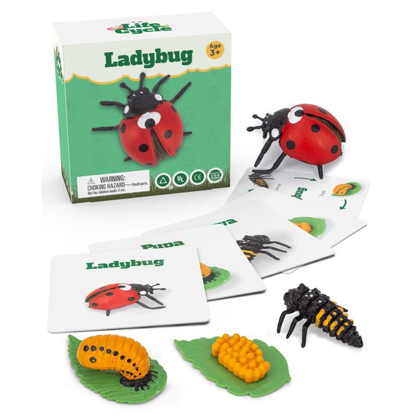 Life Cycle Kit Montessori - Realistic Figurine Toys, Kids Animal Matching Game with Ladybug, Stocking Stuffers Science, Fun for Learning & Education Toys, for Children 3+