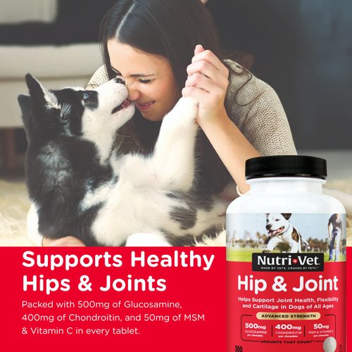 Nutri-Vet Advanced Strength Hip & Joint Chewable Dog Supplements- Formulated with Glucosamine & Chondroitin to Support Dog Cartilage & Mobility- 300 Tablets