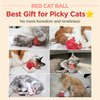 JAYU PET Red Cat Ball - Catnip Inside Cat Toy, Handmade Silvervine Ball Toys, Cat Toys for Indoor Cats, Interactive Matatabi Cat Ball Toy, Feline Kitten Toys, Cat Gifts (2.7 inch)