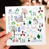 3dRose Greeting Cards - Cute Eco-Friendly Earth Day Environment Doodles Environmentalist Design - 12 Pack - Floral and Nature Designs