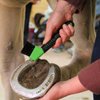 BOTH WINNERS Sturdy Horse Hoof Pick Brush with Soft Touch Handle (Neon Green)