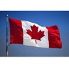 CARGEN National Flag Temporary Tattoos - 5 Sheets 8 Patterns Canada Flag Tattoos for Canadian Football Match World Cup Ball Game Great on Arm Face Shoulder for Kids Adults Party Festival