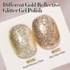 Double Rhythm 15ML Glitter Gel Polish Shimmer Reflective Holographic Color Magnetic for Nail Art Salon DIY at Home (B1117)