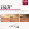 L'Oreal Paris Excellence Creme Permanent Hair Color, 8RB Medium Reddish Blonde, 100 percent Gray Coverage Hair Dye, Pack of 2