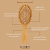 Regrowz Bamboo Paddle Hair Brush for Women & Men - Natural Wooden Brush to Detangle Hair & Reduce Hair Breakage - Scalp Massage, Perfect Hair Care Tool