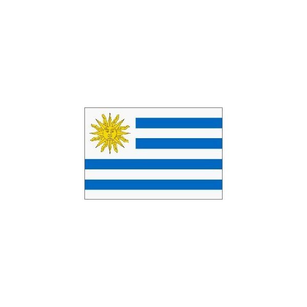 NEW Uruguay 3x5 Flag Pabellon Nacional World Cup