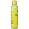 Jamaican Mango & Lime Mango & Shea Butter Lotion 8 Oz