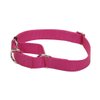 Coastal - No Slip - Martingale Adjustable Dog Collar, Pink Flamingo, 3/4" x 14-20"