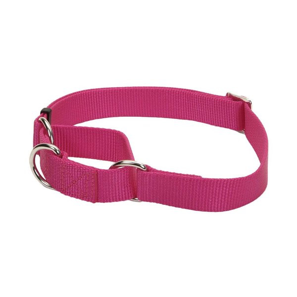 Coastal - No Slip - Martingale Adjustable Dog Collar, Pink Flamingo, 3/4" x 14-20"