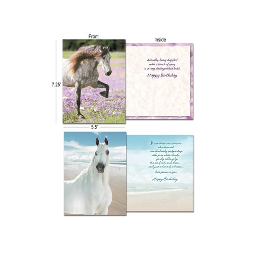 Leanin' Tree, Horse Country, Greeting Cards Assortment Box All Occasion with Inside Message and Blank Cards (20 Assorted Cards, 22 Colorful Envelopes)