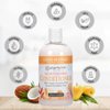Ginger Lily Farms Botanicals Moisturizing Conditioner for Dry Hair, Coco Mango, 100% Vegan & Cruelty-Free, Coconut Mango Scent, 12 Fl Oz