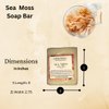 Sea Moss Soap Bar| Handmade| For All Skin Types Acne, Eczema, Psoriasis | Shea Butter, All Natural, Body and Face, Dr. Sebi Inspired, Vegan, Gluten Free, Men & Women, Moisturizing, Essential Oils