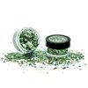 Holographic Chunky Glitter by PaintGlow – Vegan Cosmetic Glitter for Face, Body, Nails, Hair and Lip (Green Envy)
