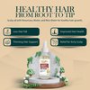 Rosemary and Biotin Pre-Wash Scalp Oil and Hair Treatment Oil: Pre Shampoo Dry Scalp Treatment, Hair Growth Stimulator Serum For Healthy Scalp & Less Hair Fall and Breakage. 2 Fl Oz.