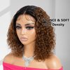 KADOYEE Ombre Brown HD Lace Front Wigs Human Hair Pre Plucked Deep Wave Curly Bob Wigs for Black Women Brazilian Virgin Hair Wigs with Baby Hair 150% Density (14 Inch #1B/33Short Curly Bob Wigs)