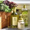Fruits & Passion] Cucina Lime Zest and Cypress Luxury Hand Cream, 5 Fl Oz - Premium Skin Care Made from First Cold Pressed Olive Oil - Regenerating Hand Lotion for Dry, Cracked Skin