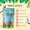 Bird Street Bistro Parrot Food - Parakeet Food - Cockatiel Food - Bird Food - Cooks in 3-15 min w/Natural & Organic Grains - Legumes - Non-GMO Fruits, Vegetables, & Healthy Spices