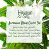 Hawaiian Silky Jamaican Black Castor Oil Collection Moisture Repair Shampoo