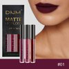 KARNAR 3Pcs Dark Red Purple Matte Lipstick Lip Set, Lip Stain,Lipstick Sets for Women Lippies Lip Matte Makeup Lip gloss Beauty Cosmetics Kit (SET01)