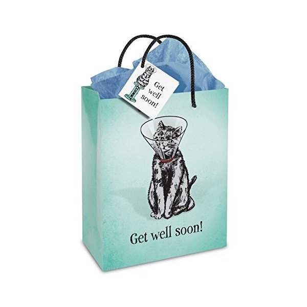 Mcphee Get Well Soon Cone Kitty Gift Bag