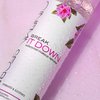 CINEMA SECRETS Break It Down Waterproof Makeup Remover, 4.2 Fl Oz