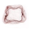 ZOENHOU 200 PCS 20 Inches Brown Invisible Hair Nets, Lightweight Elastic Edge Mesh Hair Net, Nylon Hairnets for Women Cooking Food Service Bun Kitchen Ballet Dancer