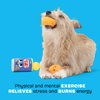 Barkbox BARK Chewz Ballz Plush Dog Toy | Multi-Part Fun for Small Dogs, Perfect for Playtime & Fetch