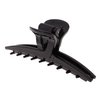 Camila Paris CP2661 French Hair Clip for Women, Narrow, Strong Hold Grip Double Teeth Girls Hair Claw Clips Jaw, Fashion Durable Styling Hair Accessories for Women, Made in France