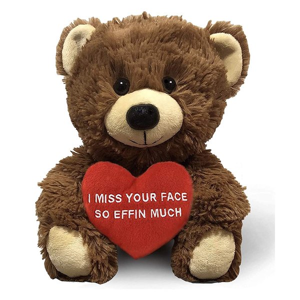 I Miss Your Face So Effin Much - 10" Teddy Bear & Gift Bag - Funny Stuffed Animal Plush Gift for Girlfriend, Boyfriend, Best Friend - Birthday, Anniversary, Valentines, or Long Distance - Witty Bears