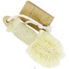 BAUDELAIRE Baudelaire sisal 6 inch nail brush, 1 ea